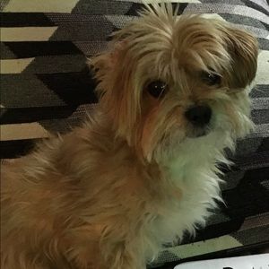 Meet your Posher, Alison